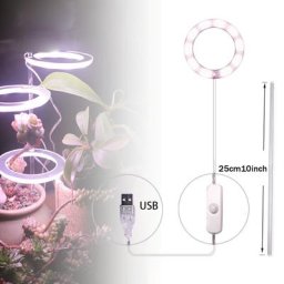 Lampe LED pour culture de plantes succulentes anneau d'ange réglable en hauteur prise USB avec