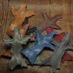 Cuir de griffe de dinde coloré naturel 1 pièce pour bricolage montre ceinture accessoires