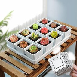 Meshpot – Pot de fleurs succulentes en plastique Cactus lithos conteneur de plantation de semis