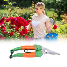 Sécateur de jardin professionnel coupe de plantes pointues cisailles à main pour fleurs et