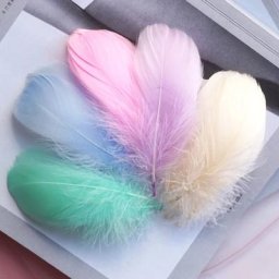 Plumes d'oie flottantes de 8 à 12 Cm 100 pièces plumes de couleur naturelle pour décoration de