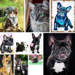 Kit de broderie au point de croix pré-imprimé animal bouledogue français bricolage artisanat à