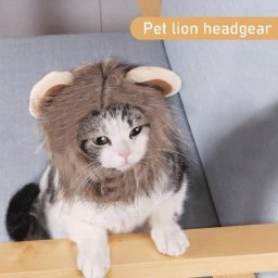 Chapeau de perruque de crinière douce et drôle pour chat et chien équipement de sauna de