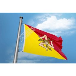 Bannière en polyester à sensation d'onduleur italien drapeau volant personnalisé extérieur