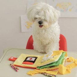 Jouet en peluche coule pour chiens animal à renifler nettoyage intime jouets à mâcher livraison