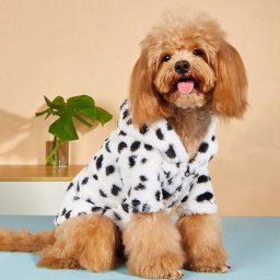 Vêtements d'hiver pour animaux de compagnie manteau en peluche imprimé léopard pull coloré veste