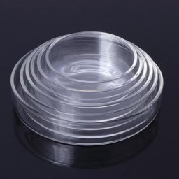 Plateau d'alimentation en verre pour crevettes bac pour poissons d'aquarium pour réservoir de