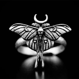 Bagues papillon réglables pour femmes et hommes Phase de lune Bague papillon Bijoux Boho Cadeaux