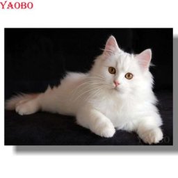 5D DIY Diamond Painting Chaton Blanc Carré Complet Rond Point De Croix Perle Broderie Kirchin