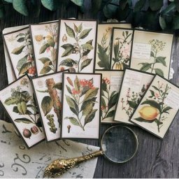 KSCRAFT – autocollants Vintage plantes en papier illustration anglaise Scrapbooking fabrication