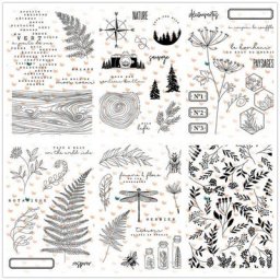 Matrice de découpe de timbre transparent français carte de scrapbooking bricolage B612