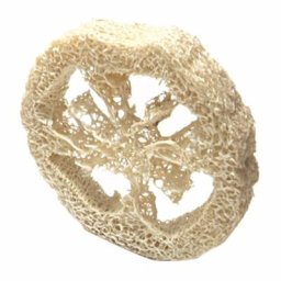 Tranche de Luffa Naturelle de 4 à 6cm de Large Outils de Bricolage Personnalisés Nettoyant
