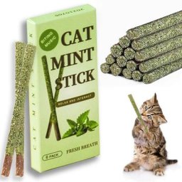 Bâtonnets à mâcher en bois pour chats de tous âges 6 pièces/boîte bâtonnets pour herbe-aux-chats