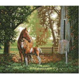 Amishop – Kit de points de croix comptés deux chevaux mère et bébé Dim 35260 qualité supérieure