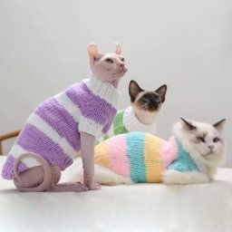Pull tricoté pour chien vêtement d'hiver pour animaux de compagnie bouledogue français chiot