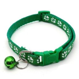 Collier décoratif pour chien accessoires en ULpour animaux de compagnie anti2018