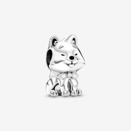 Charm Chien Japonais Akita Inu