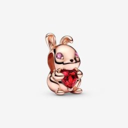 Charm Année Chinoise du Lapin
