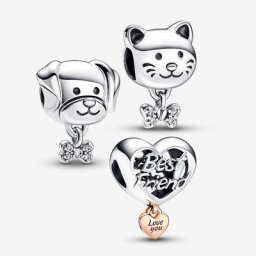 Ensemble de Charms Chien&Chat