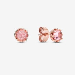 Clous d'Oreilles Couronne Scintillante Rose