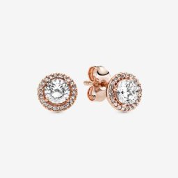 Clous d'Oreilles Halo Scintillant Ronds