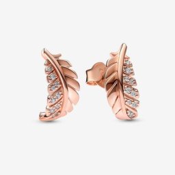 Clous d’Oreilles Plume Courbe Flottante