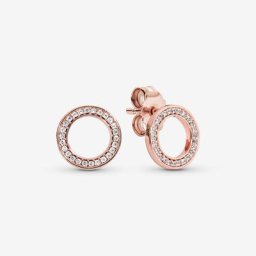 Clous d'Oreilles Cercles Scintillants