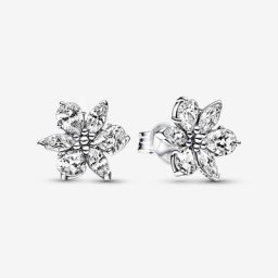 Clous d'Oreilles Herbier Scintillant