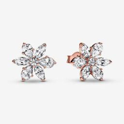 Clous d'Oreilles Herbier Scintillant