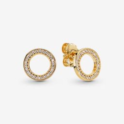 Clous d'Oreilles Cercles Scintillants