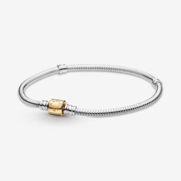 Bracelet Maille Serpent Fermoir Barillet Bicolore Moments
