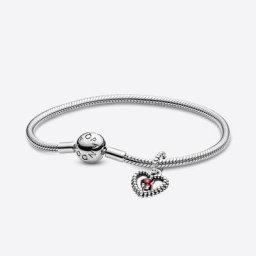 Bracelet Composé Anniversaire Janvier