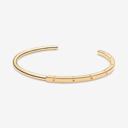 Bracelet Jonc I-D Signature