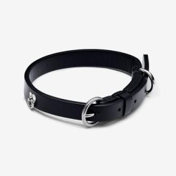 Collier pour Animaux en Similicuir d’origine végétale Noir