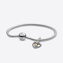 Bracelet Composé Anniversaire Novembre