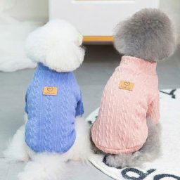 Veste d'hiver chaude pour chien et chat vêtements pour animaux de compagnie doux chiot chaton