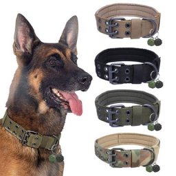 Collier de chien réglable militaire tactique boucle en nylon collier de chien pour chiens moyens et