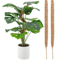 Canne à grimper pour modélisation de plante 1 pièce peut être pliée et façonnée en mousse pilier