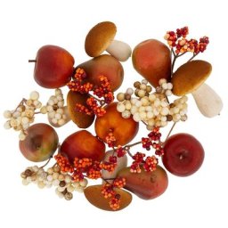 Mélange de fruits automnaux, 20 pièces