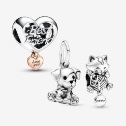 Coffret Cadeau Kitten and Puppy