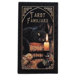 Jeu de société pour les familles divertissement Tarot jeu de société fête amis Divination