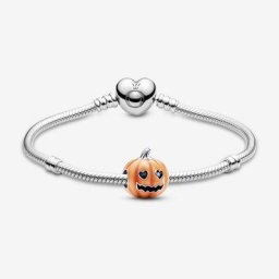 Coffret Cadeau Bracelet Composé Citrouille