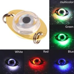 Lampe LED pour la pêche sous-marine leurre pour attraper des poissons comme les bars les flaques
