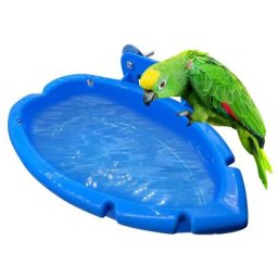 Baignoire à oiseaux pour perroquets boîte de bain pour perroquets mangeoire pour chambre