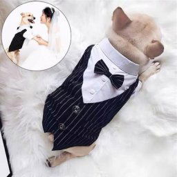 Veste et chemise pour petits chiens vêtements de fête pour bouledogue français vêtements de