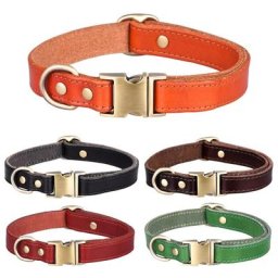 Collier réglable en cuir pour chien confortable et Durable pour petit moyen et grand gabarit