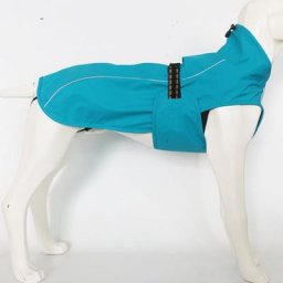 Nouveau ventre poitrine dos un chien Pizex manteau pour animaux de compagnie manteau imperméable