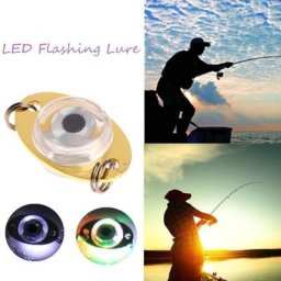 Mini leurre de pêche léger à LED en forme d'oeil sous-marin appât de pêche au calmar leurre Shoous