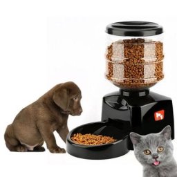 Distributeur automatique de nourriture intelligent pour animaux de compagnie 5 5 l avec écran LCD