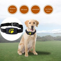 Mini localisateur GPS sans fil pour animaux de compagnie dispositif anti-perte pour chien et chat